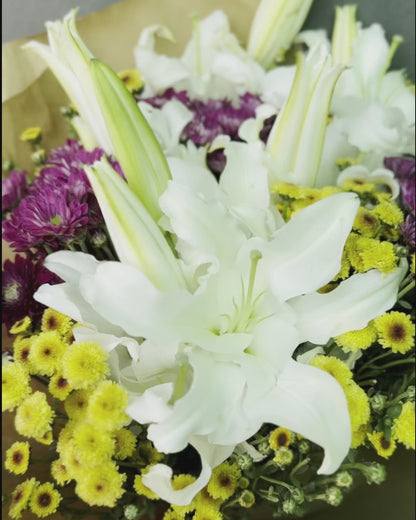 Lily Daisy