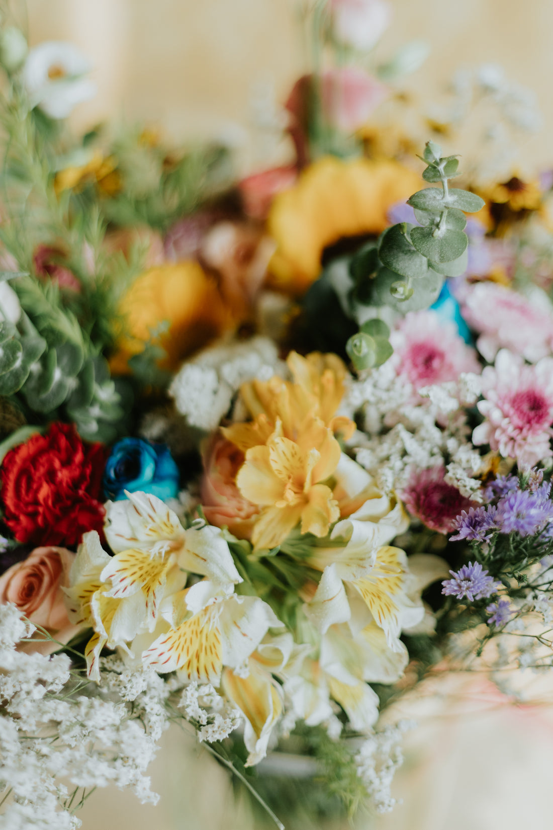 Every Colour at Once Bunch