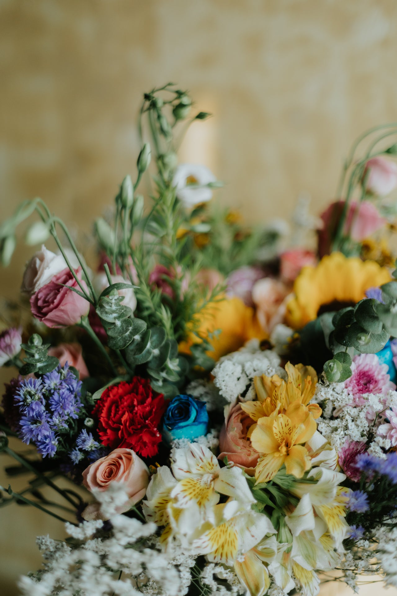 Every Colour at Once Bunch