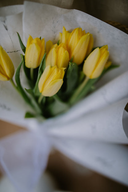 Tulips - A Rarety
