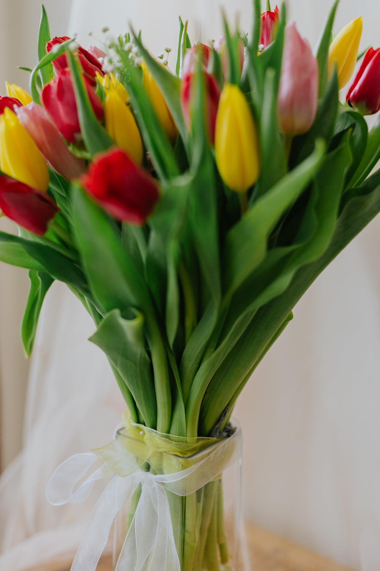 A Symphony of Tulips