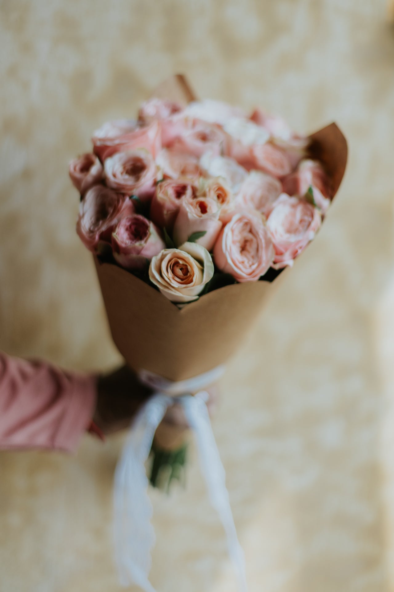 Blush Darling Bunch