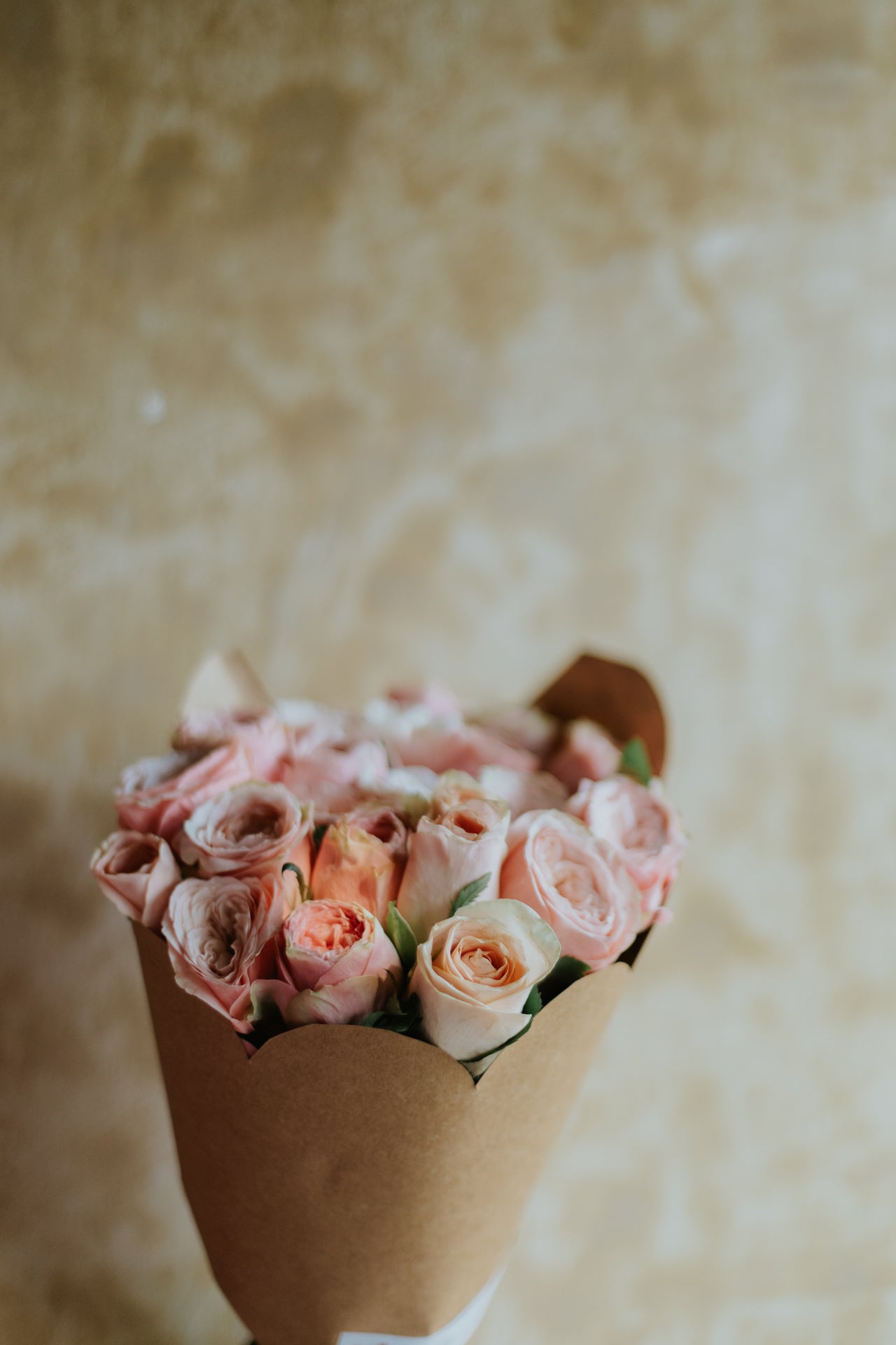 Blush Darling Bunch
