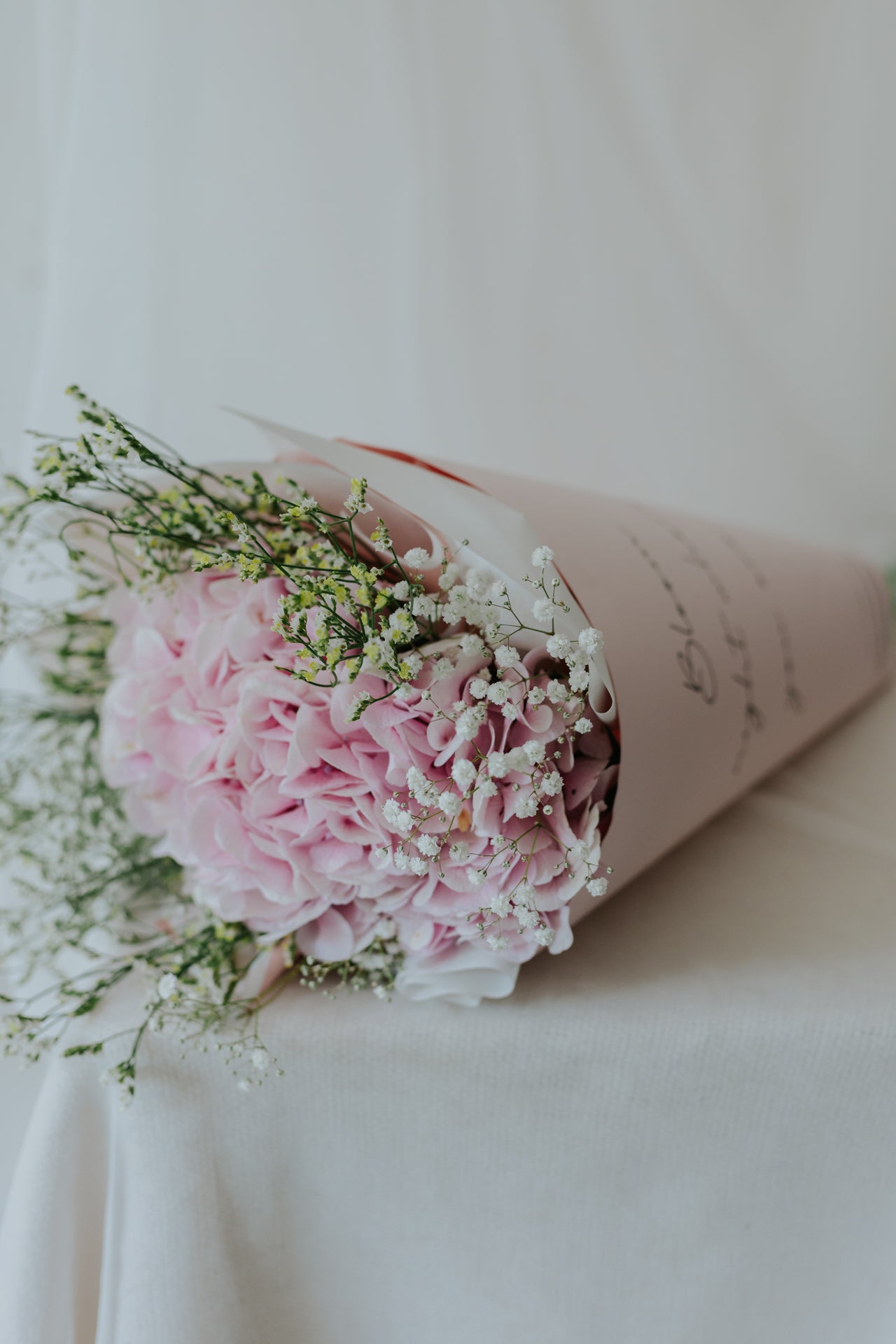 Solo Hydrangea