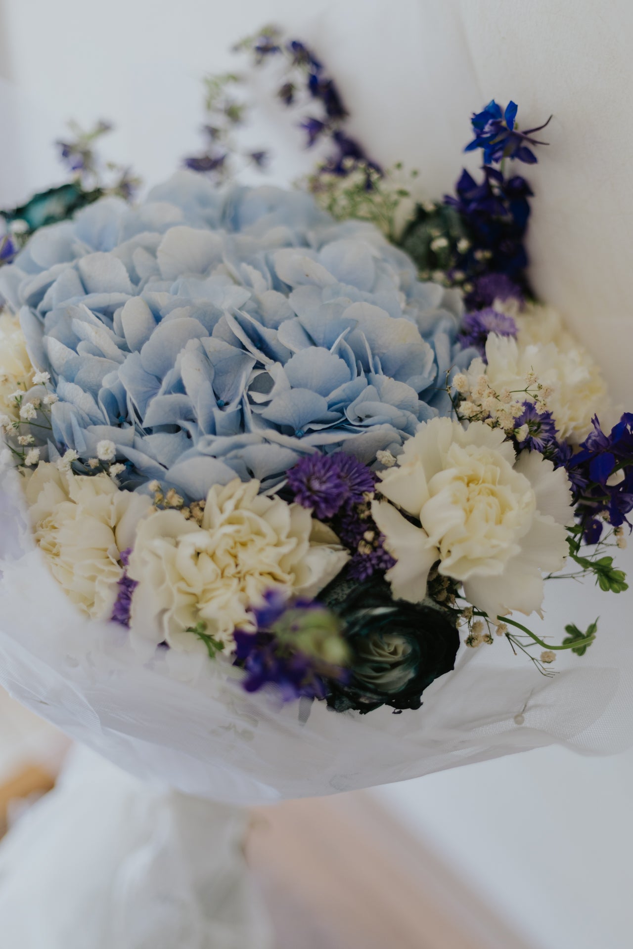 A Lilac Dream (CAPRICON)
