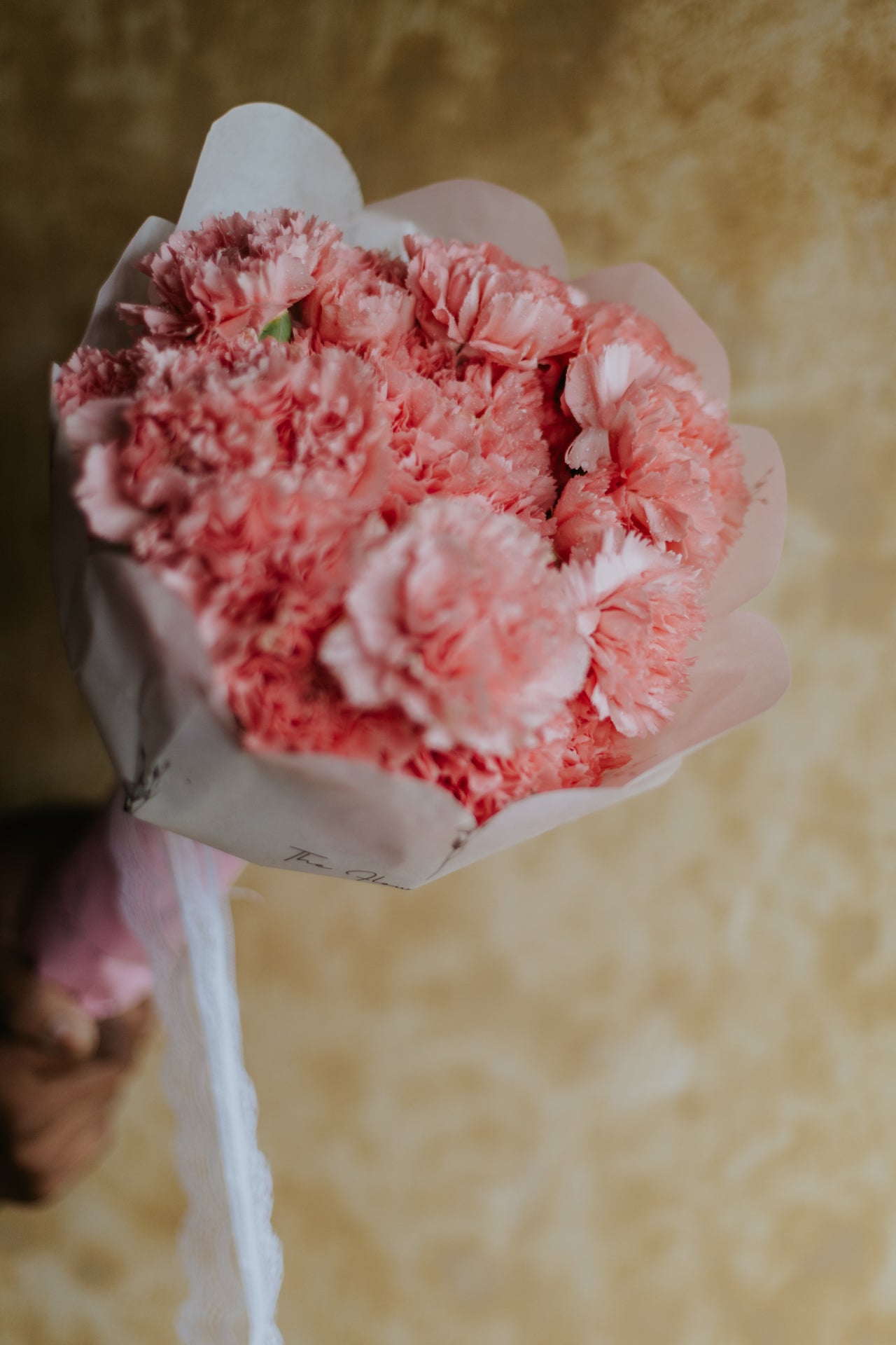 Cute Carnations Scallops Bunch