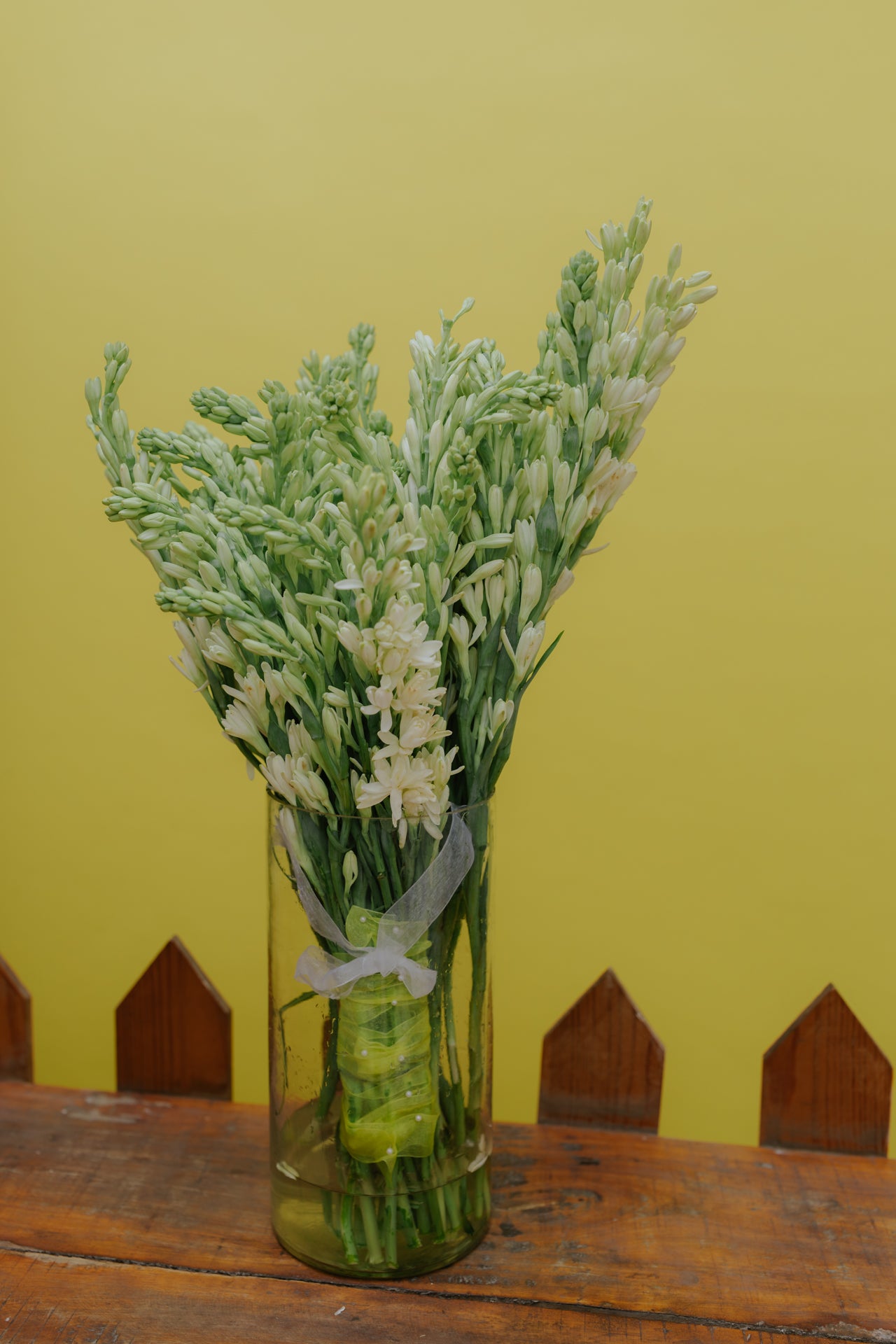 The OG Rajnigandha (Tuberose) with Vase