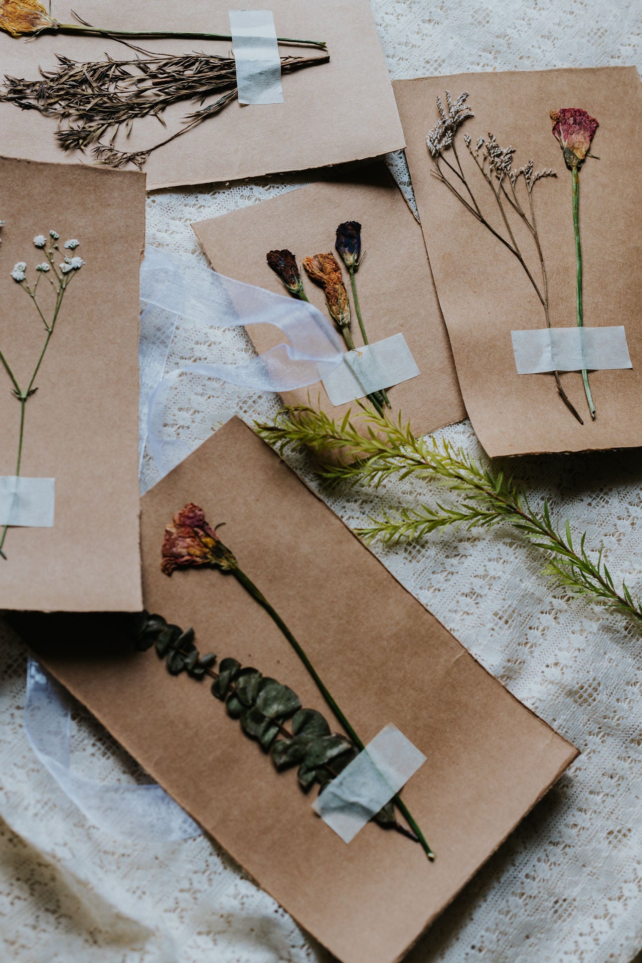Assorted Dried Flower Postcard