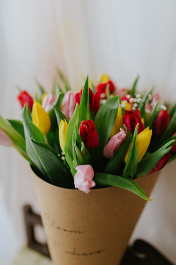 A Symphony of Tulips