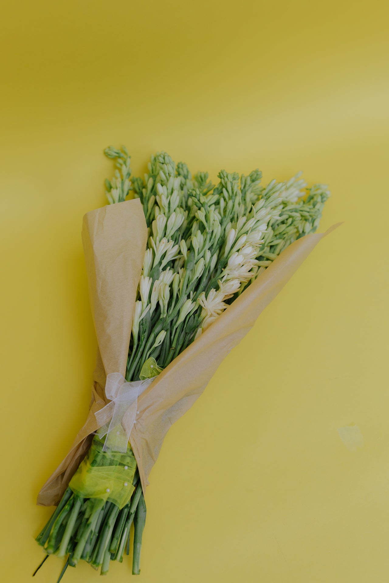 The OG Rajnigandha (Tuberose) with Vase
