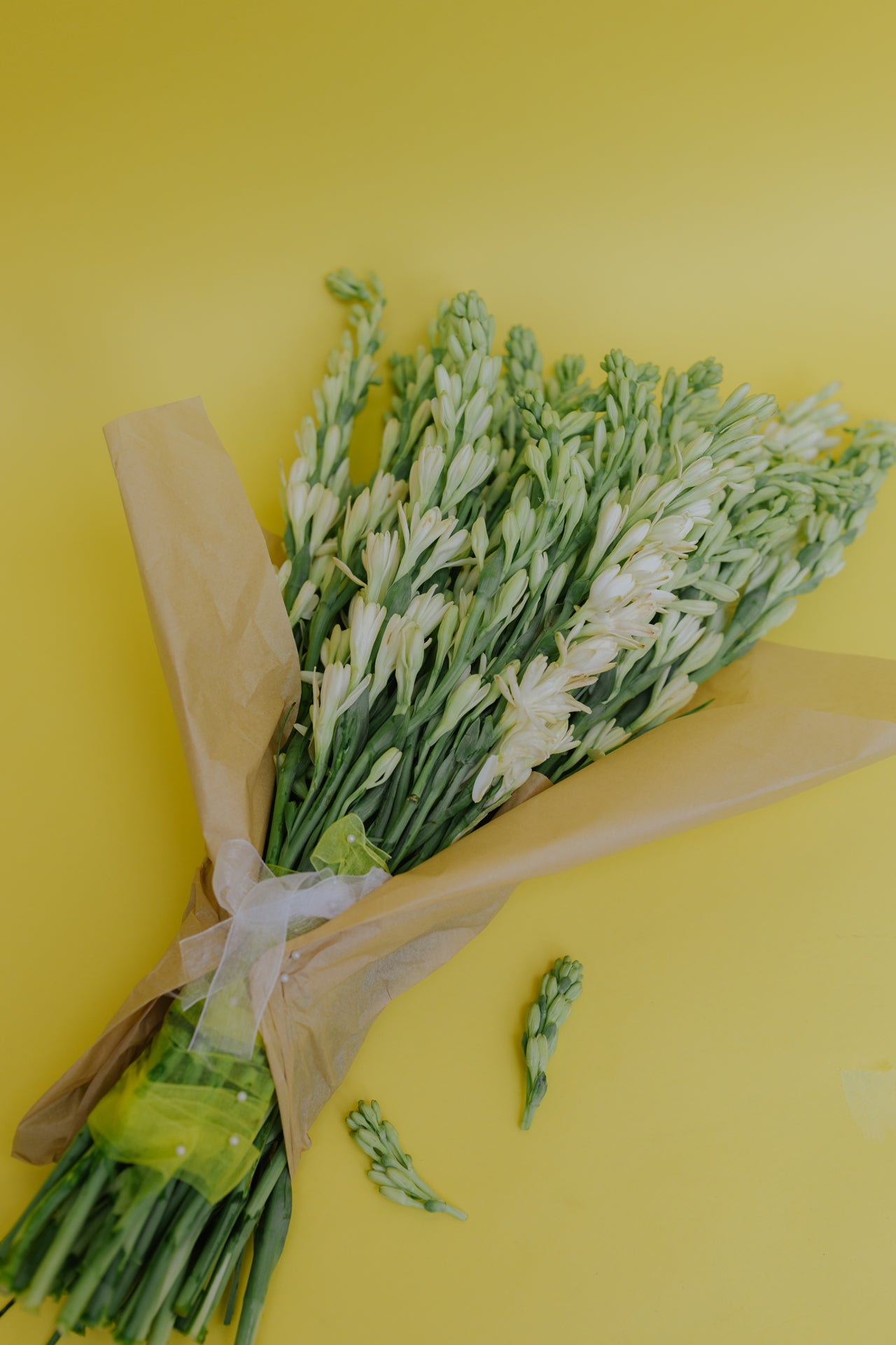 The OG Rajnigandha (Tuberose) with Vase