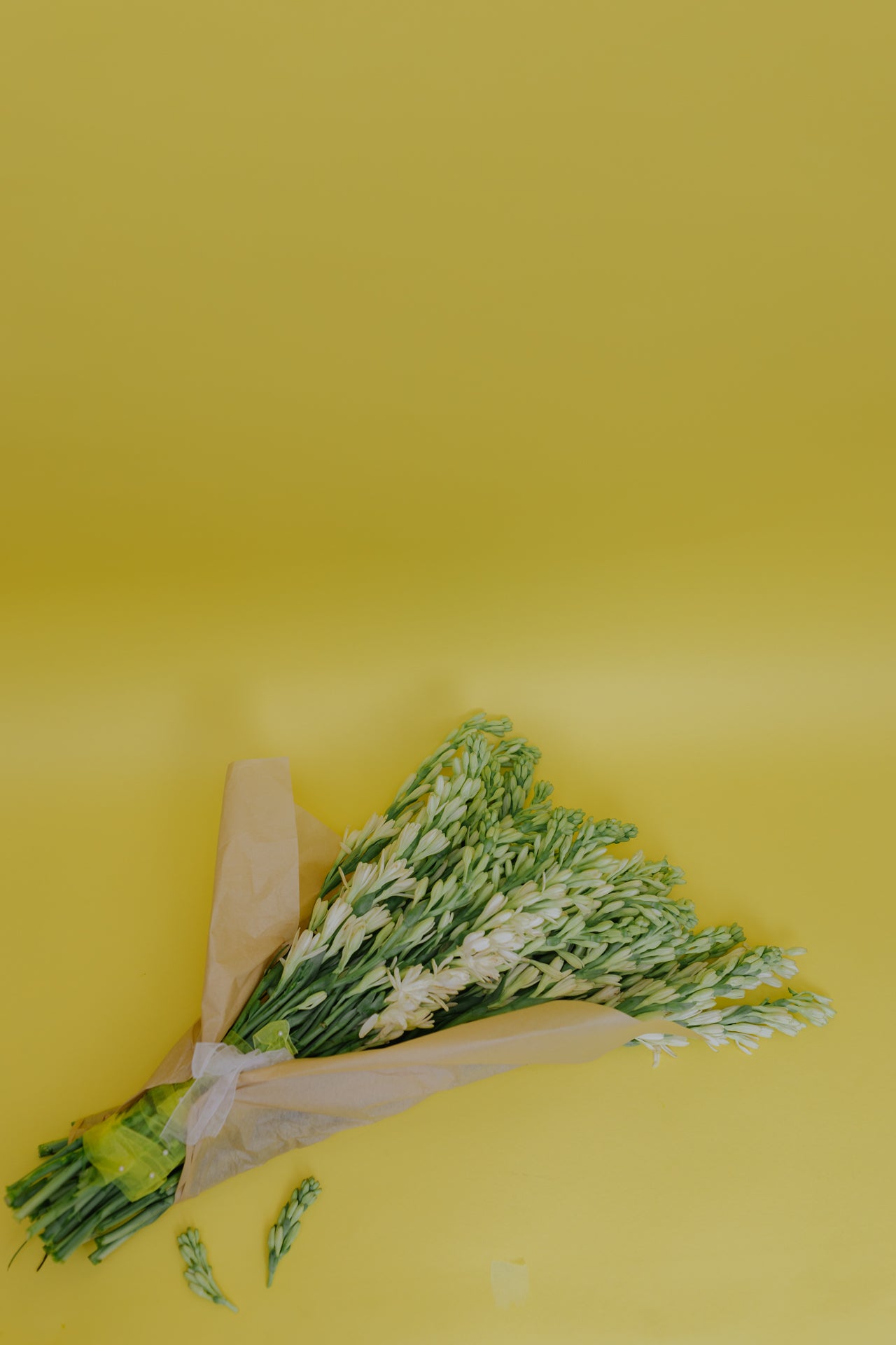 The OG Rajnigandha (Tuberose) with Vase