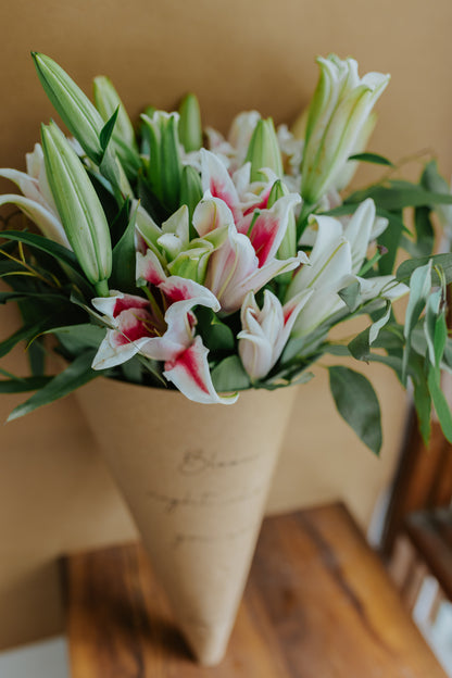 Lily Extravaganza (LIBRA)