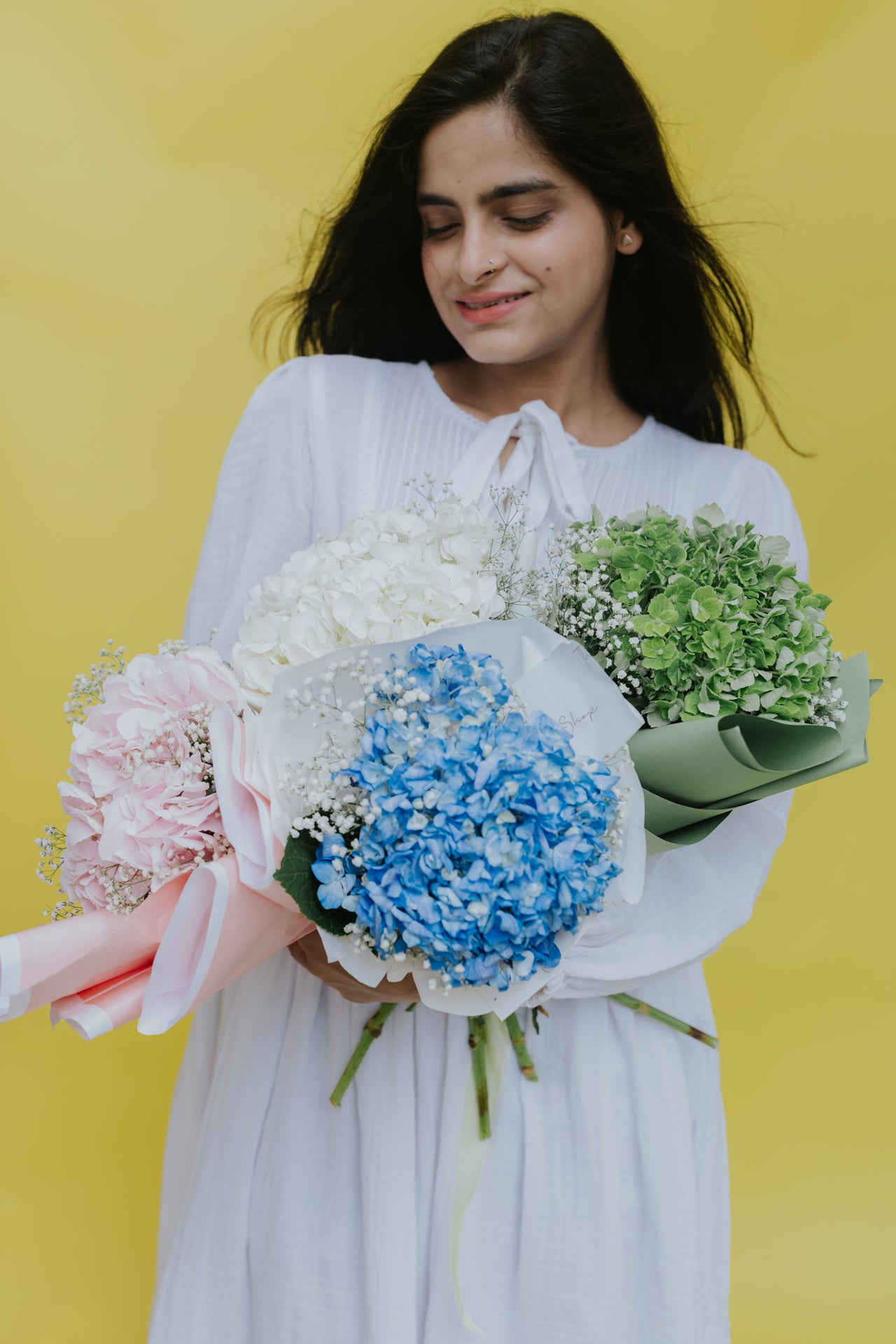 Solo Hydrangea