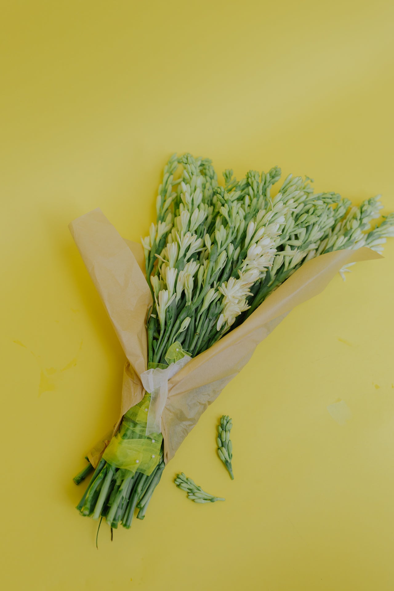 The OG Rajnigandha (Tuberose) with Vase