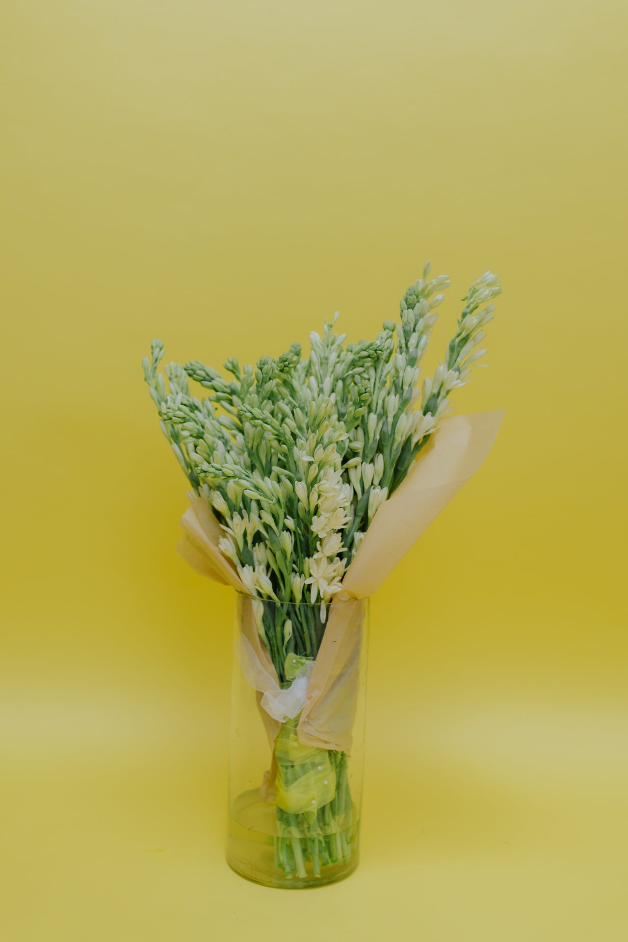 The OG Rajnigandha (Tuberose) with Vase