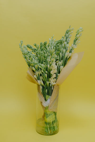 The OG Rajnigandha (Tuberose) with Vase