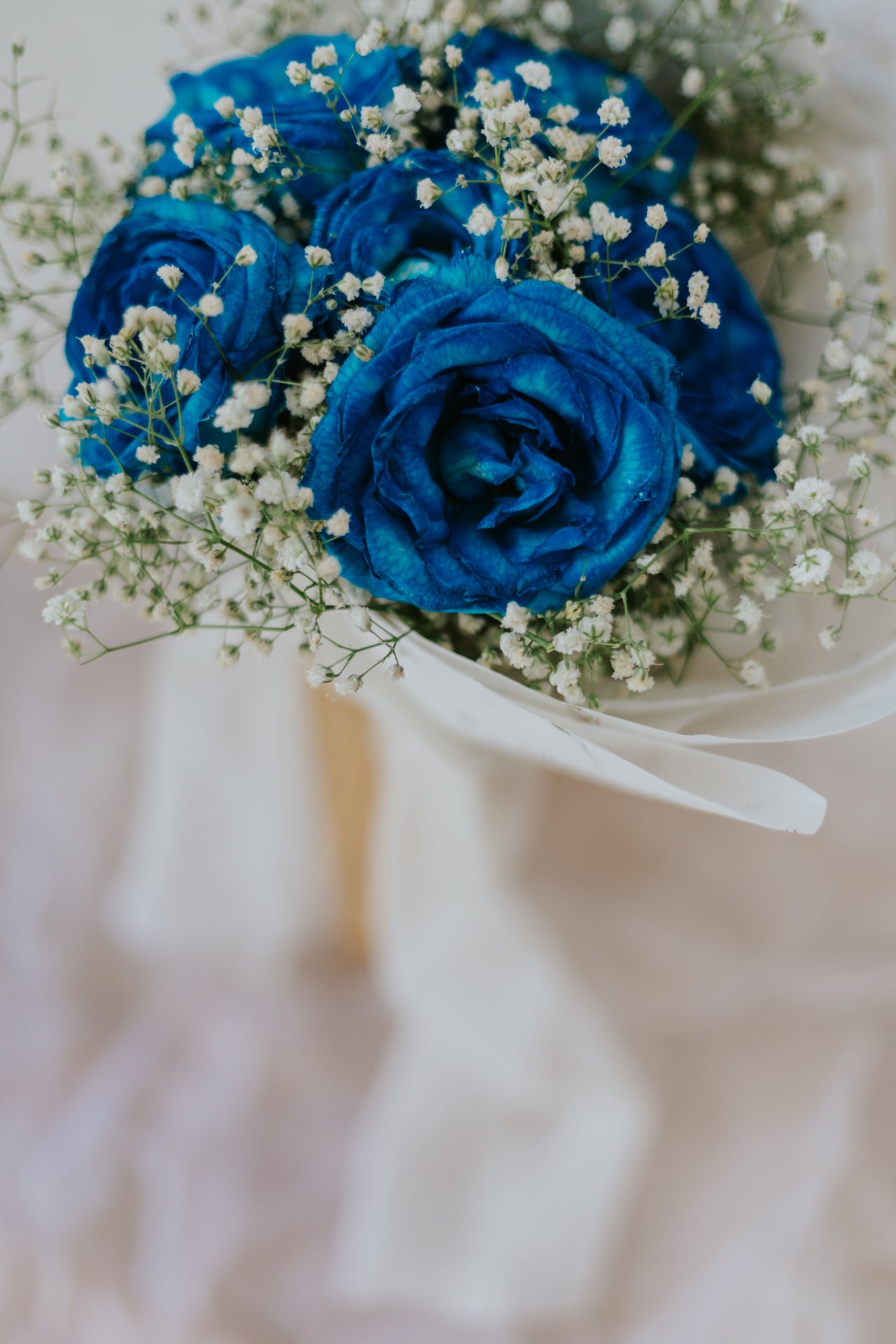 Blue Roses