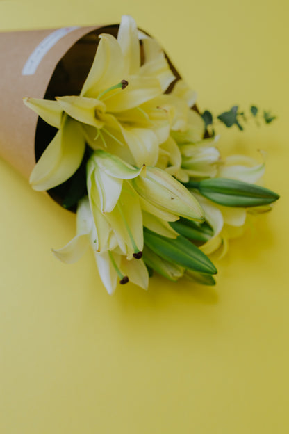 Lily Love