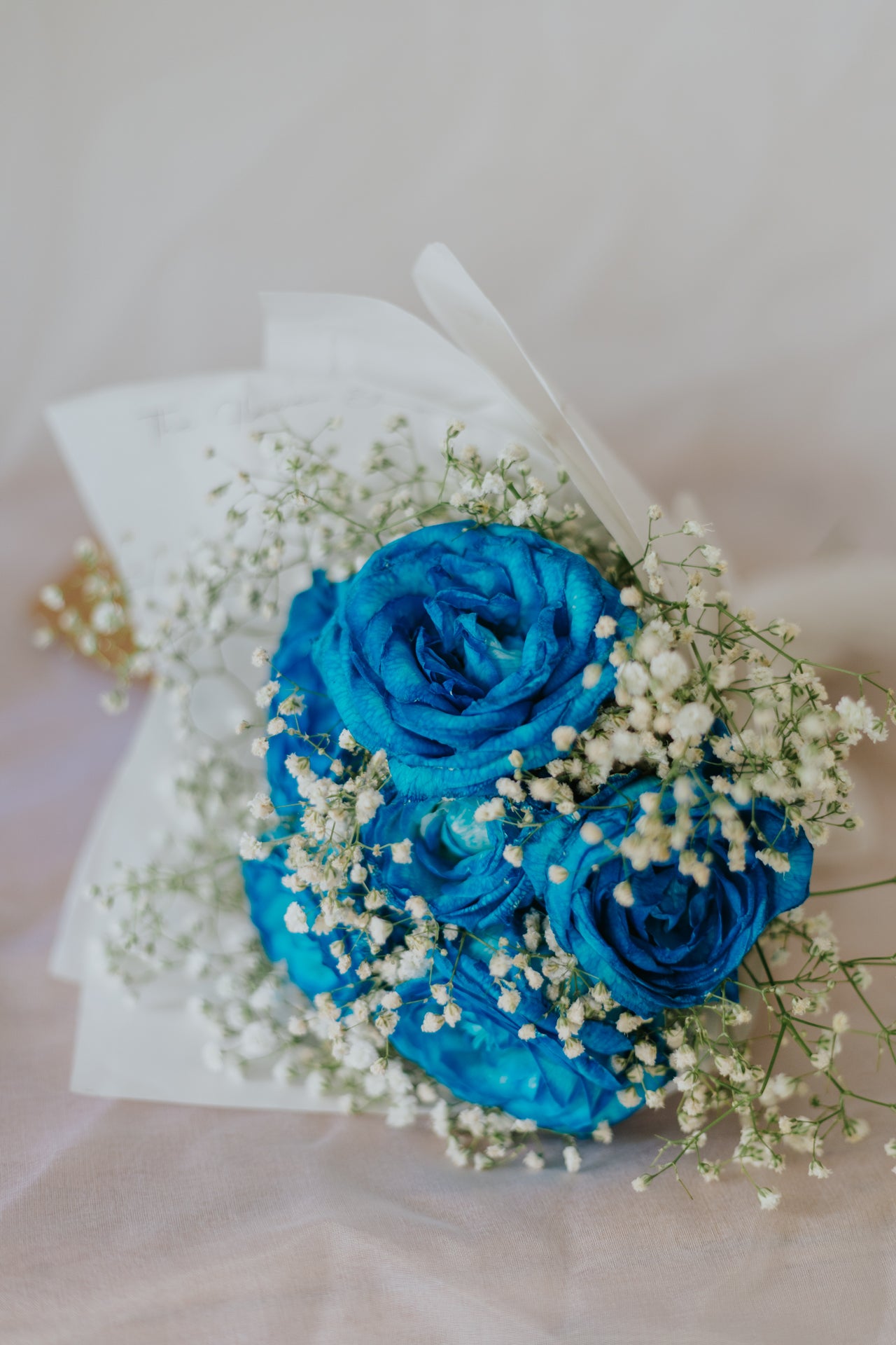Blue Roses