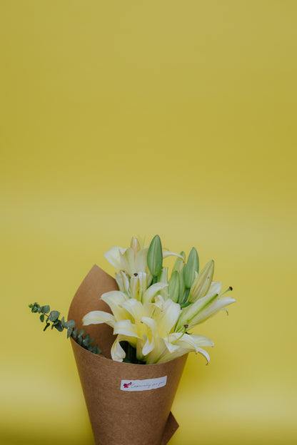 Lily Love