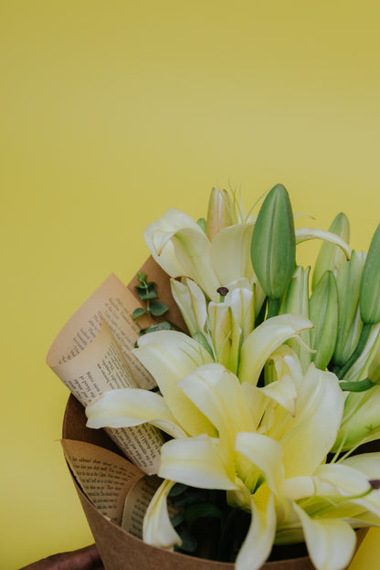 Lily Love