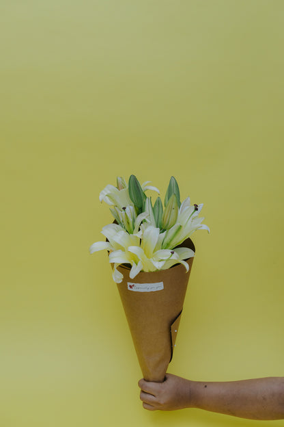 Lily Love