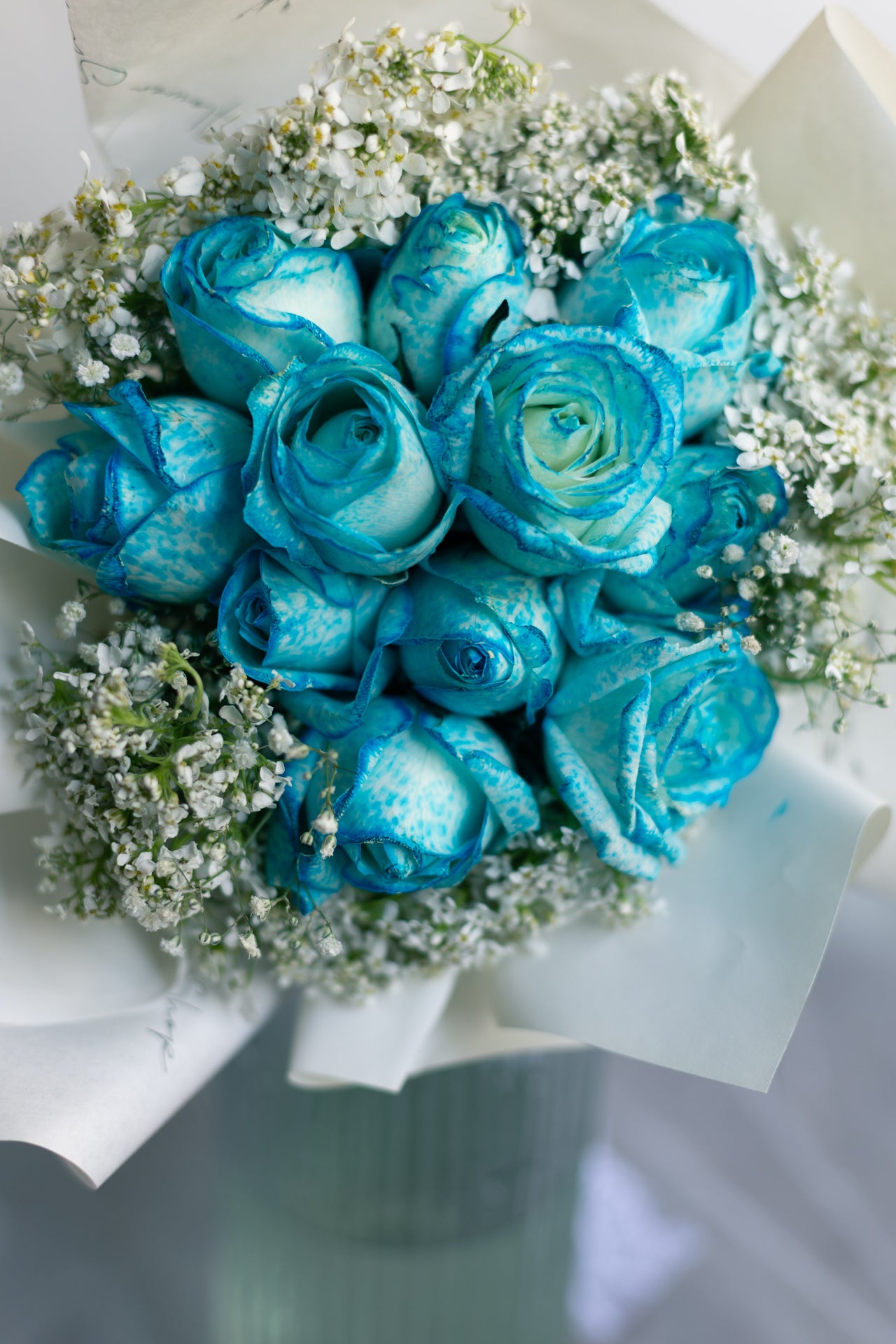 Blue Roses